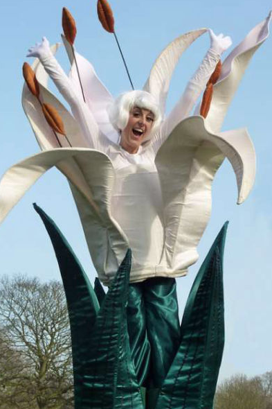 Lily Stilt Walker